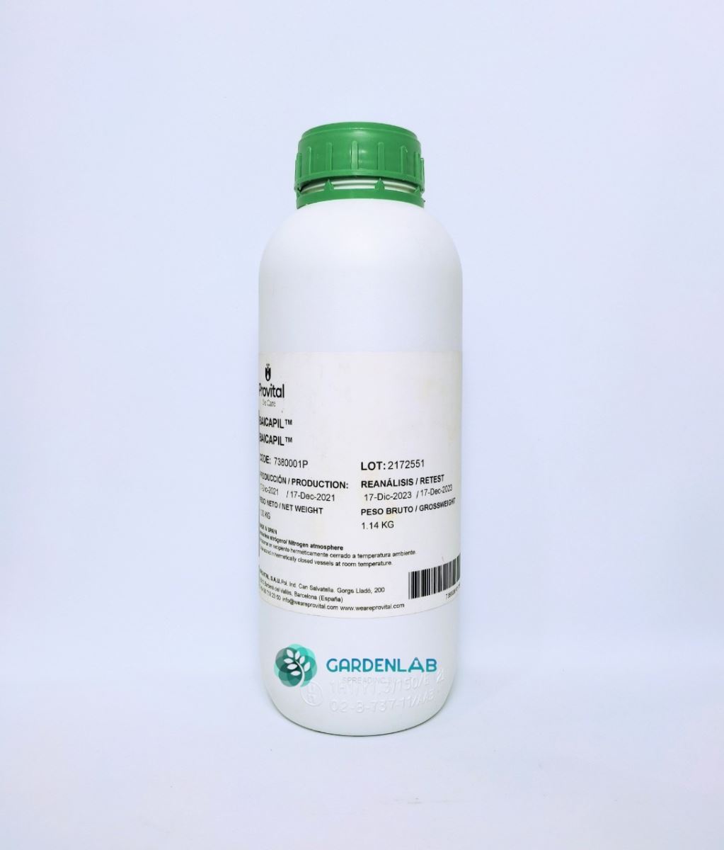 BAICAPIL (Mọc tóc/Mi/Mày)